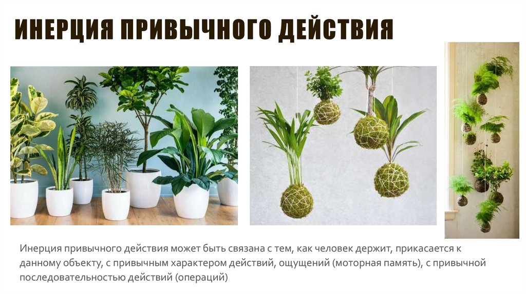 Инерция привычного действия