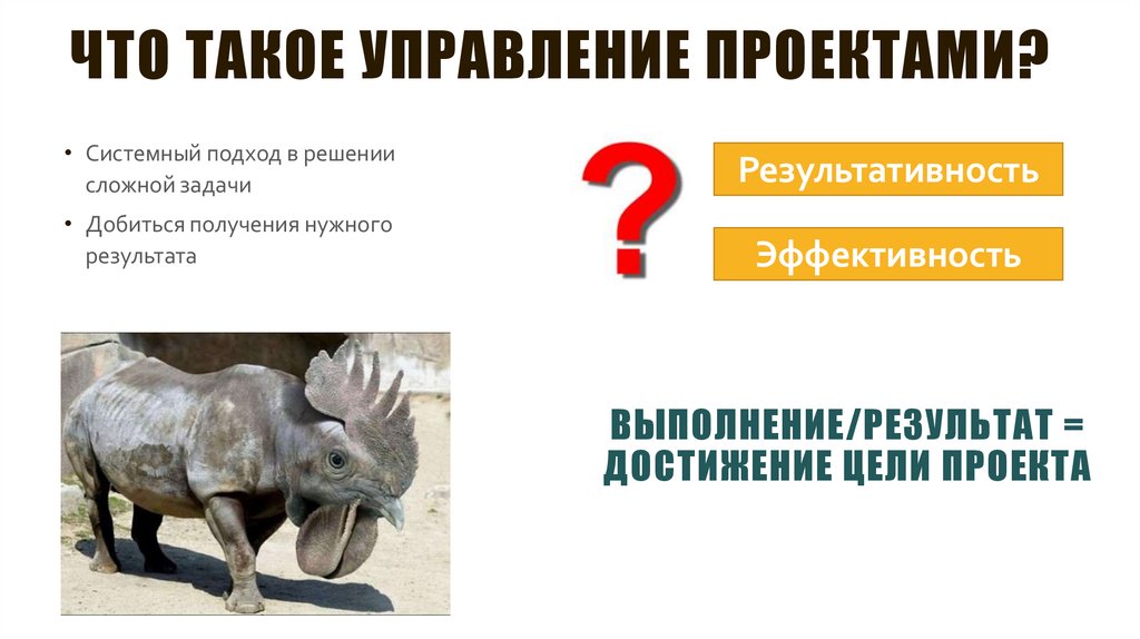 Что такое управление проектами?