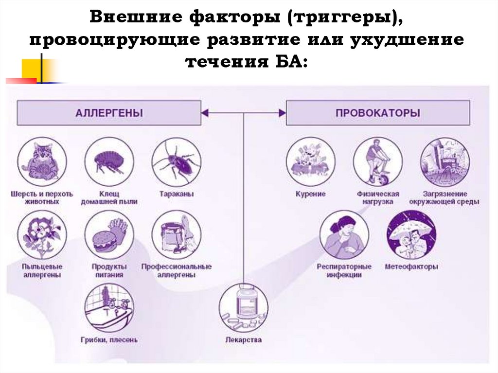Внешние факторы (триггеры), провоцирующие развитие или ухудшение течения БА: