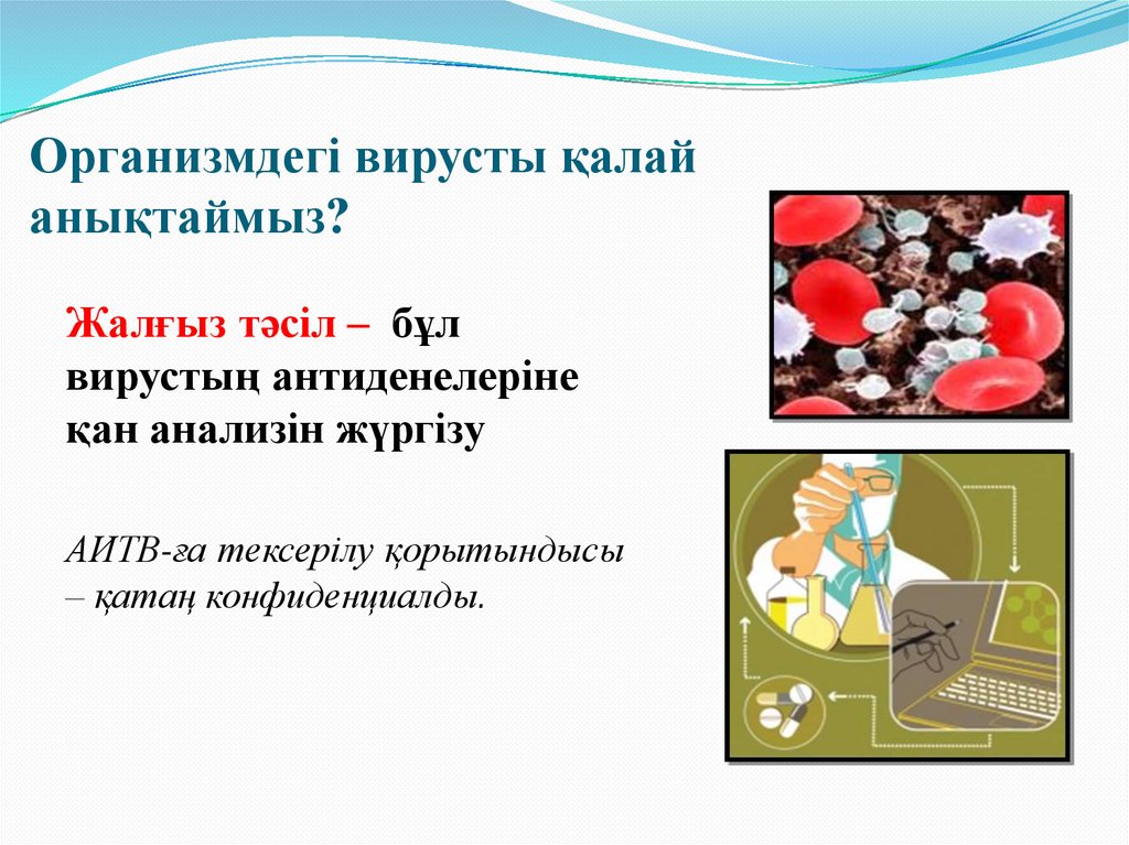 Организмдегі вирусты қалай анықтаймыз?