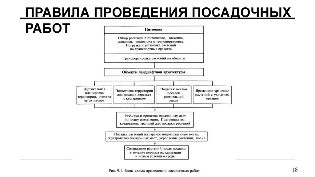 Правила проведения посадочных работ