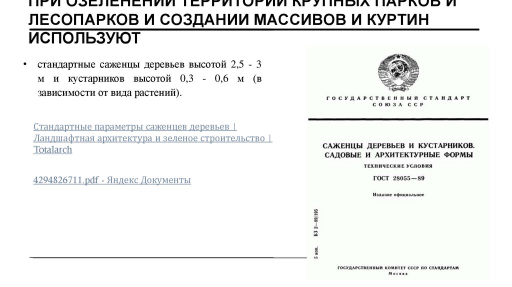 При озеленении территорий крупных парков и лесопарков и создании массивов и куртин используют
