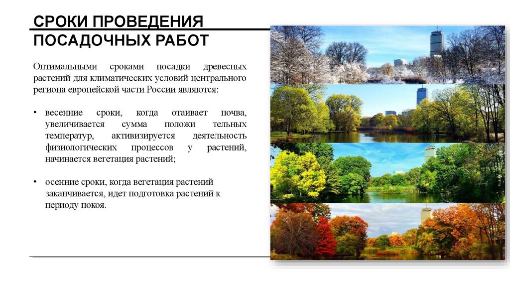 Сроки проведения посадочных работ