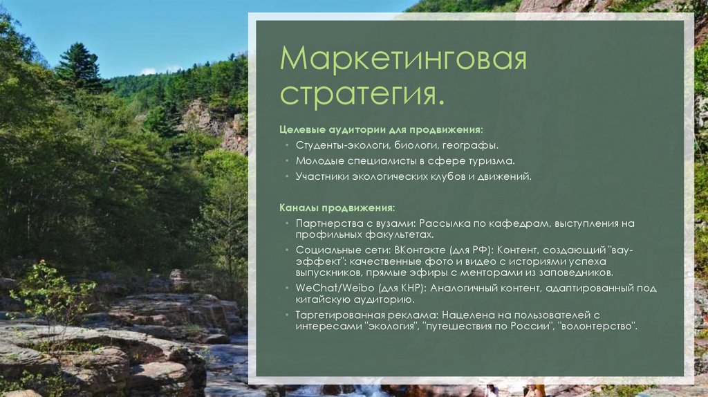 Маркетинговая стратегия.