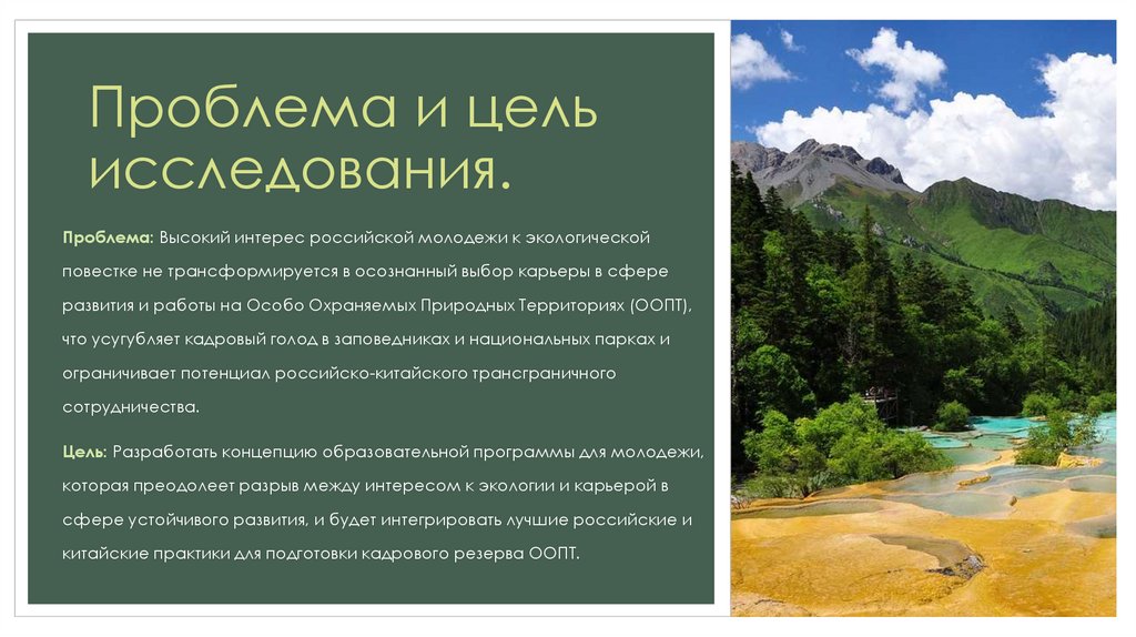 Проблема и цель исследования.