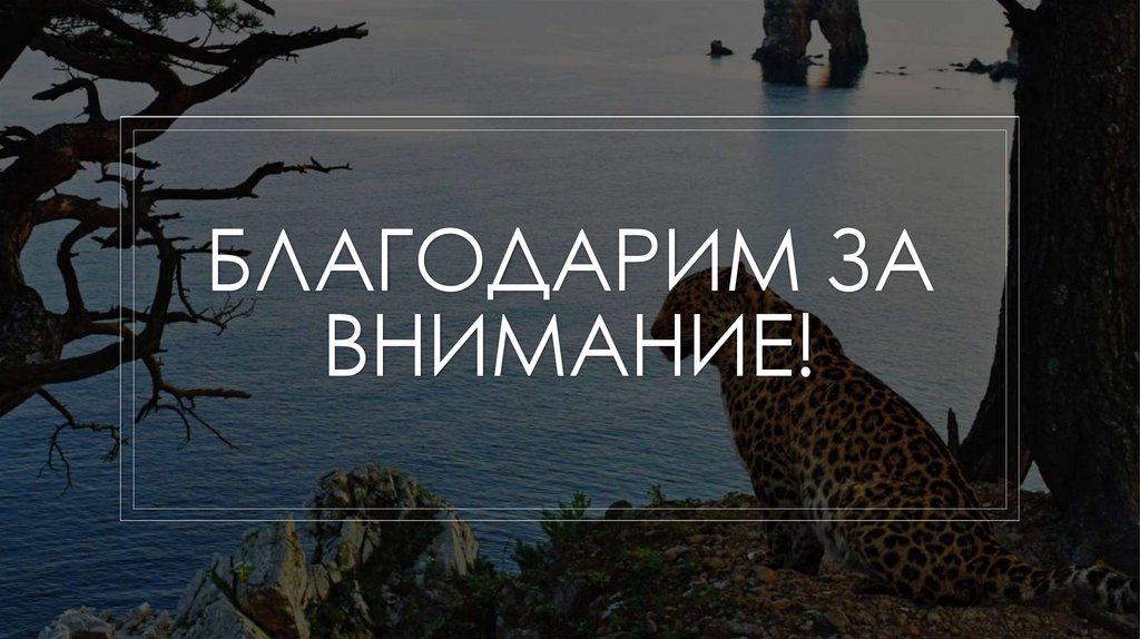 Благодарим за внимание!