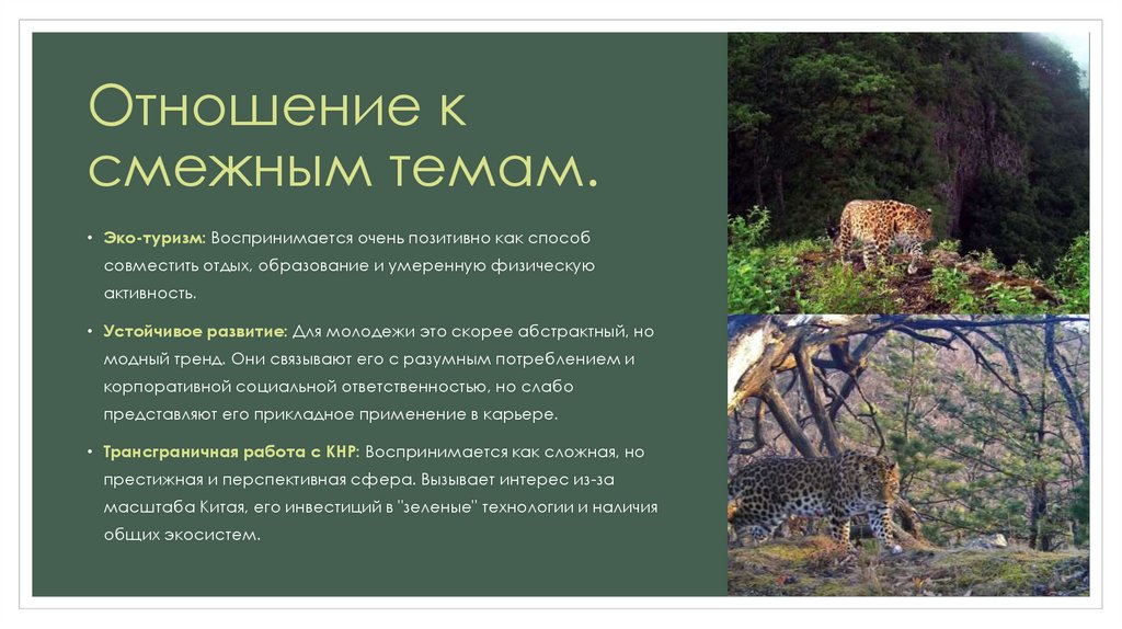 Отношение к смежным темам.