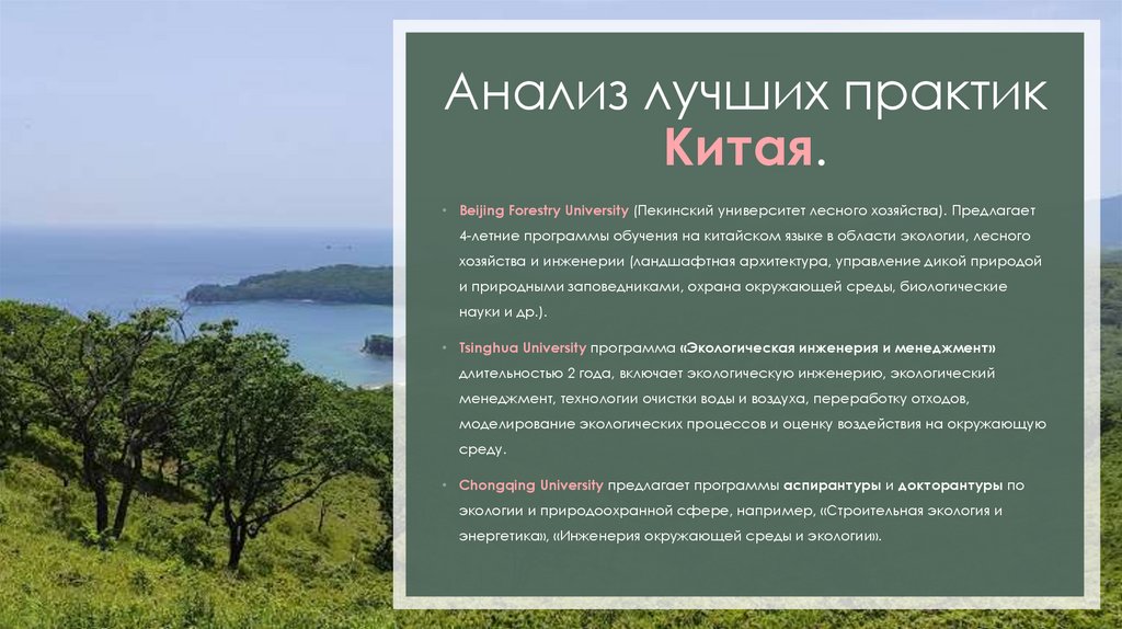 Анализ лучших практик Китая.