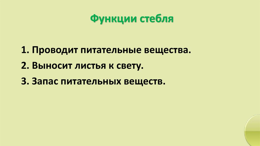 Функции стебля