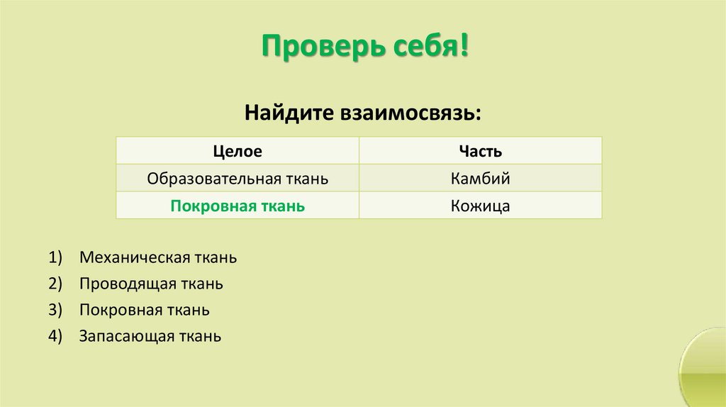 Проверь себя!