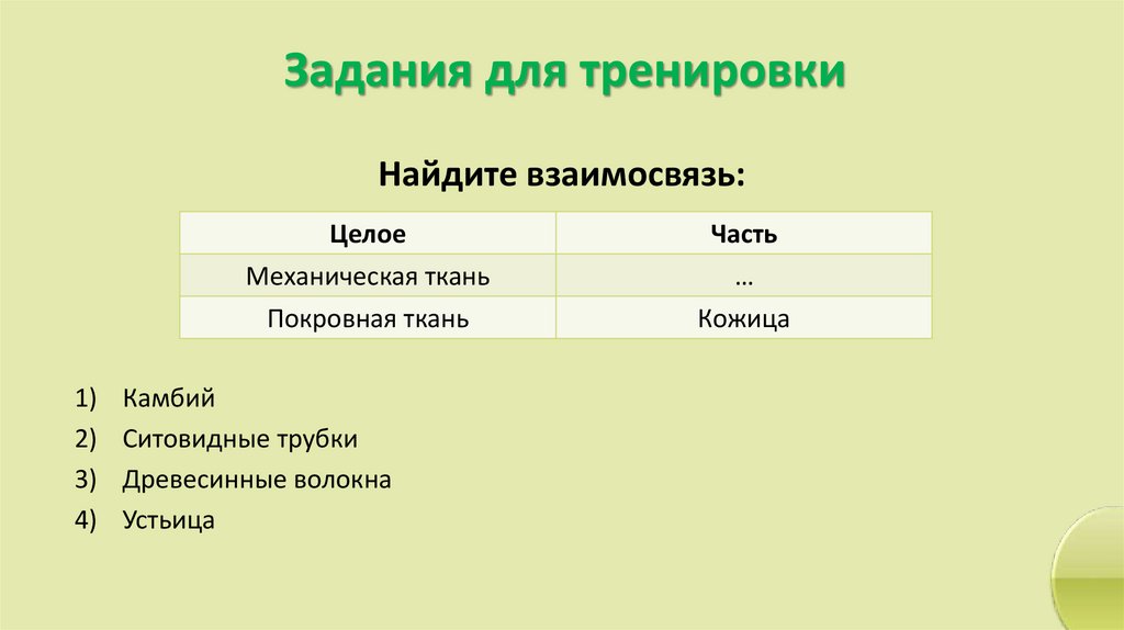 Задания для тренировки