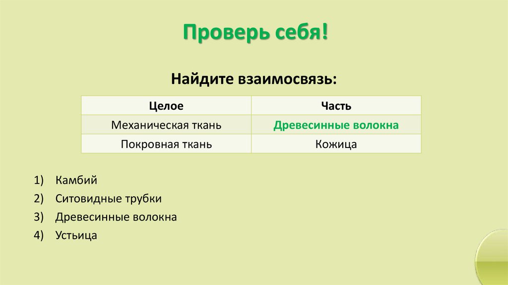 Проверь себя!