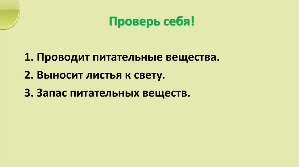 Проверь себя!