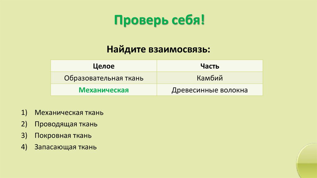 Проверь себя!