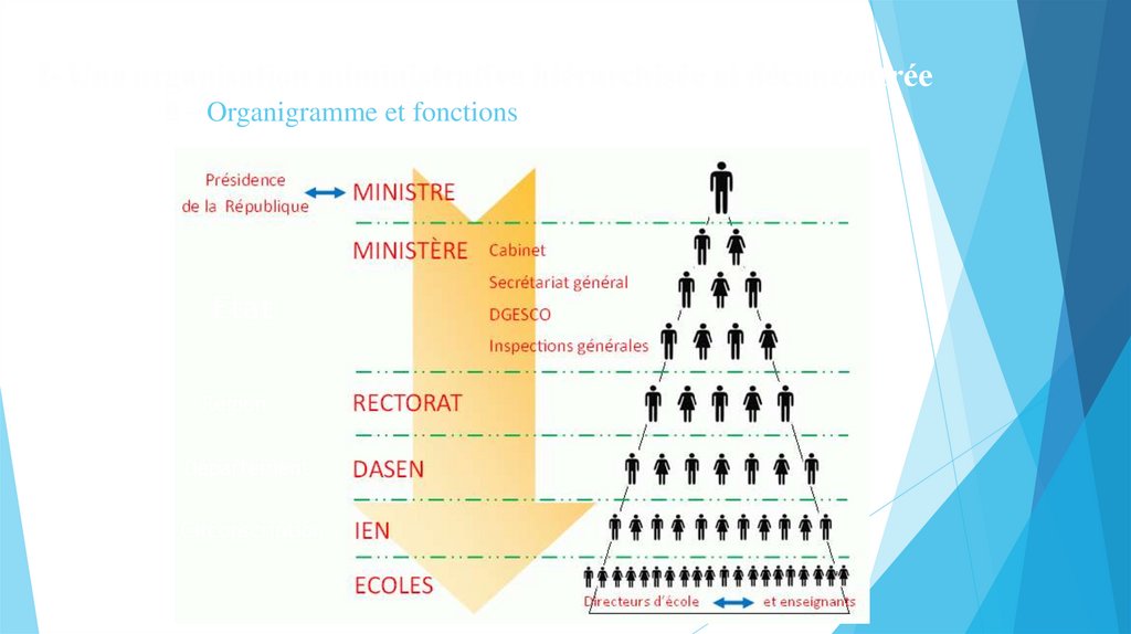 I- Une organisation administrative hiérarchisée et déconcentrée B – Organigramme et fonctions