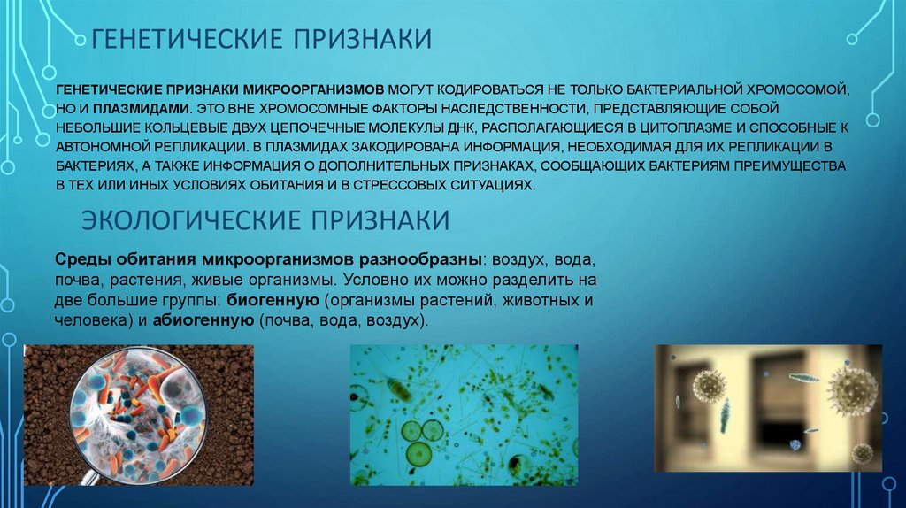 Генетические признаки