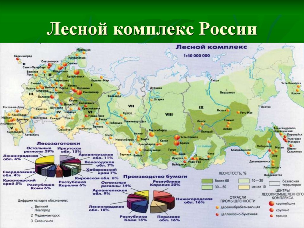 Лесной комплекс России