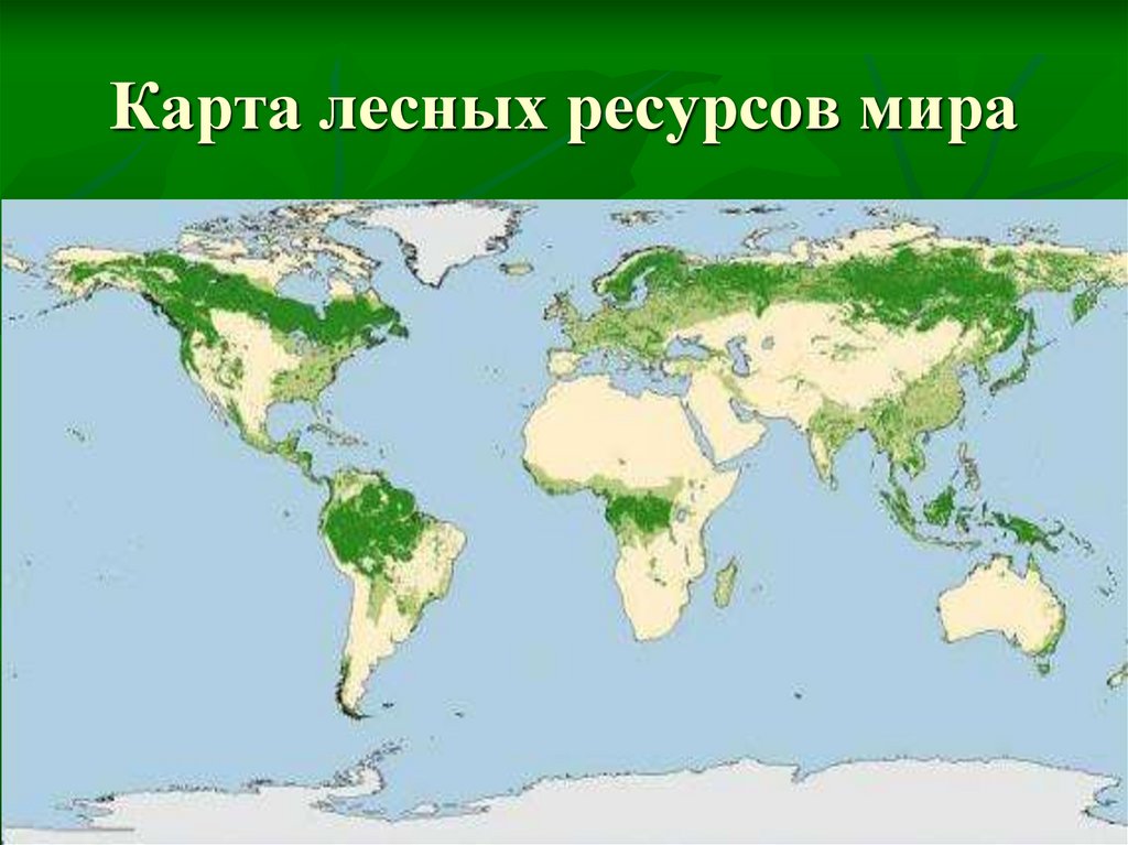 Карта лесных ресурсов мира
