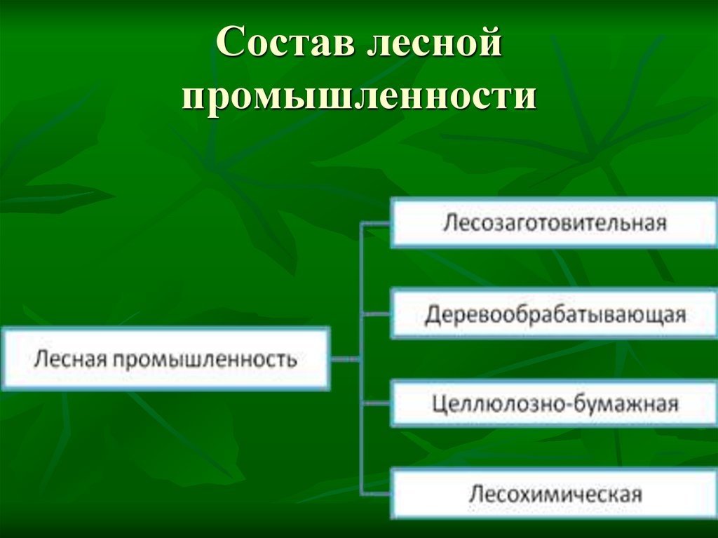 Состав лесной промышленности