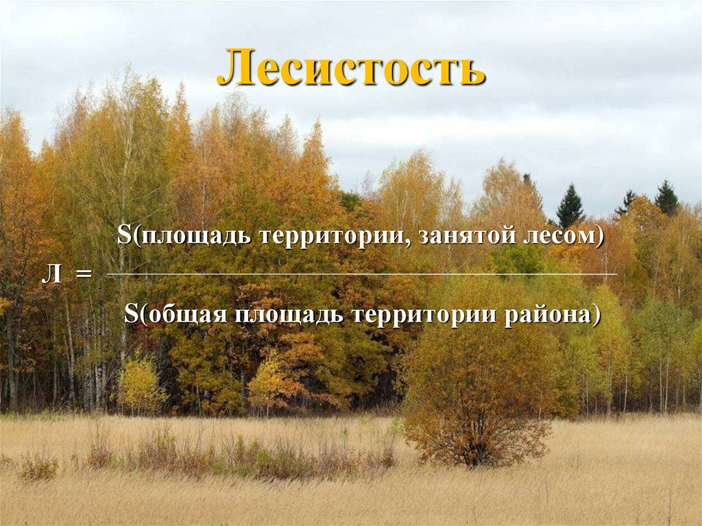 Лесистость