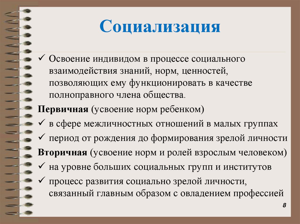 Социализация