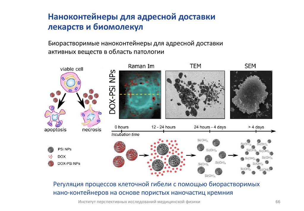 Наноконтейнеры для адресной доставки лекарств и биомолекул