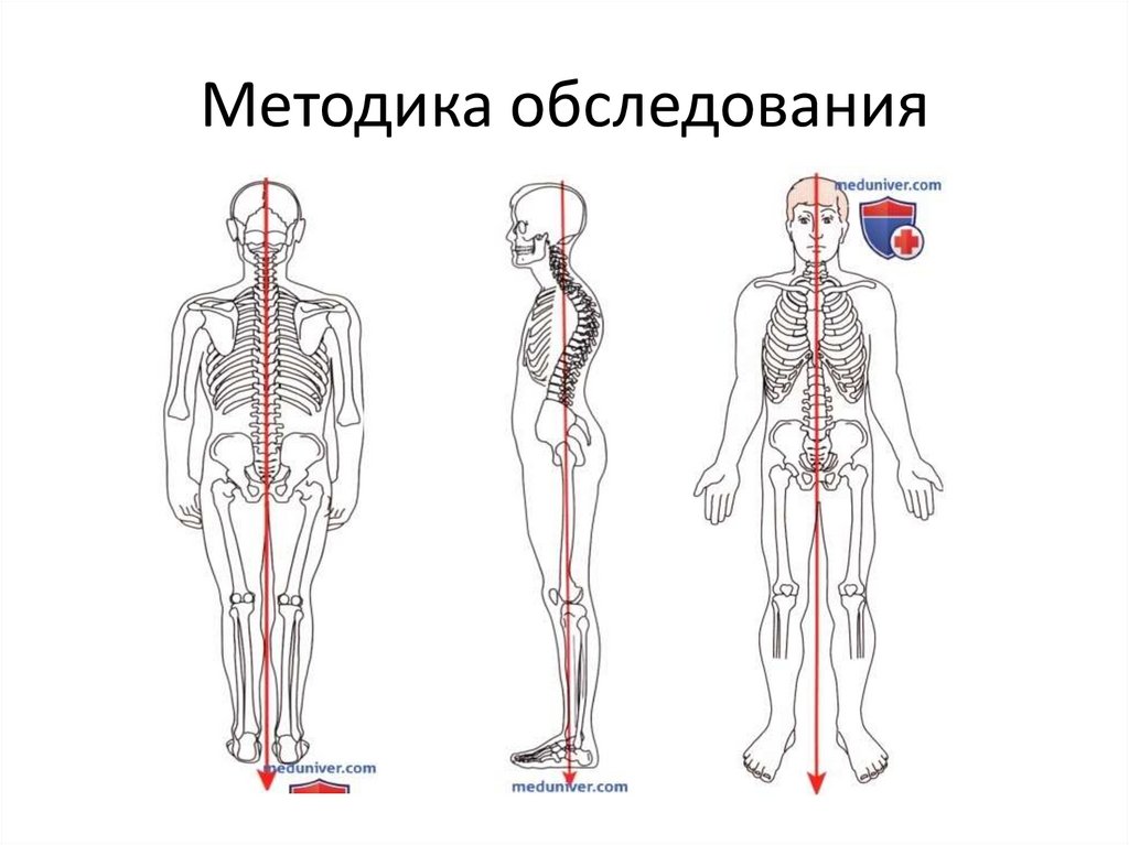 Методика обследования