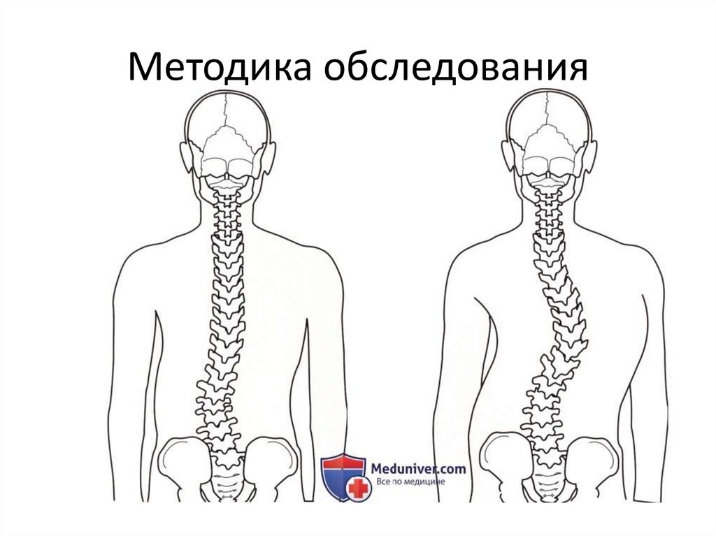 Методика обследования