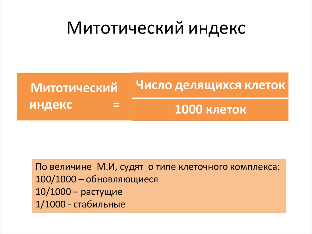 Митотический индекс
