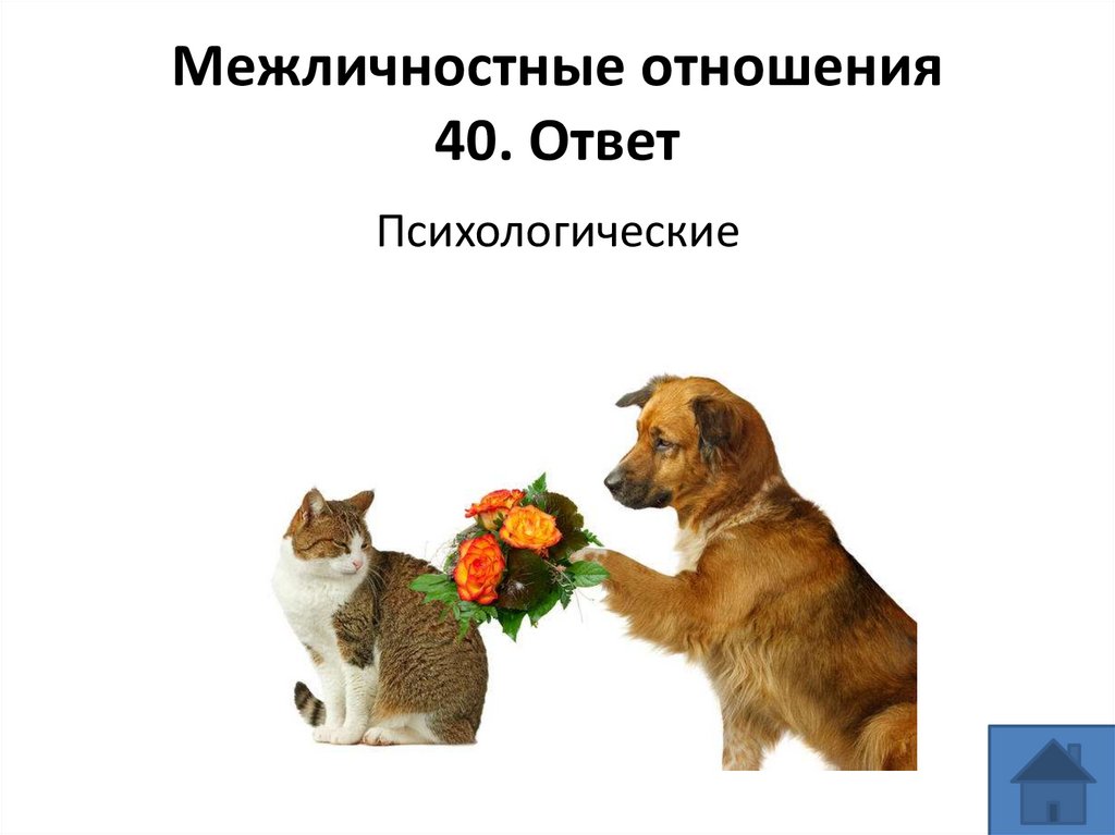 Межличностные отношения 40. Ответ