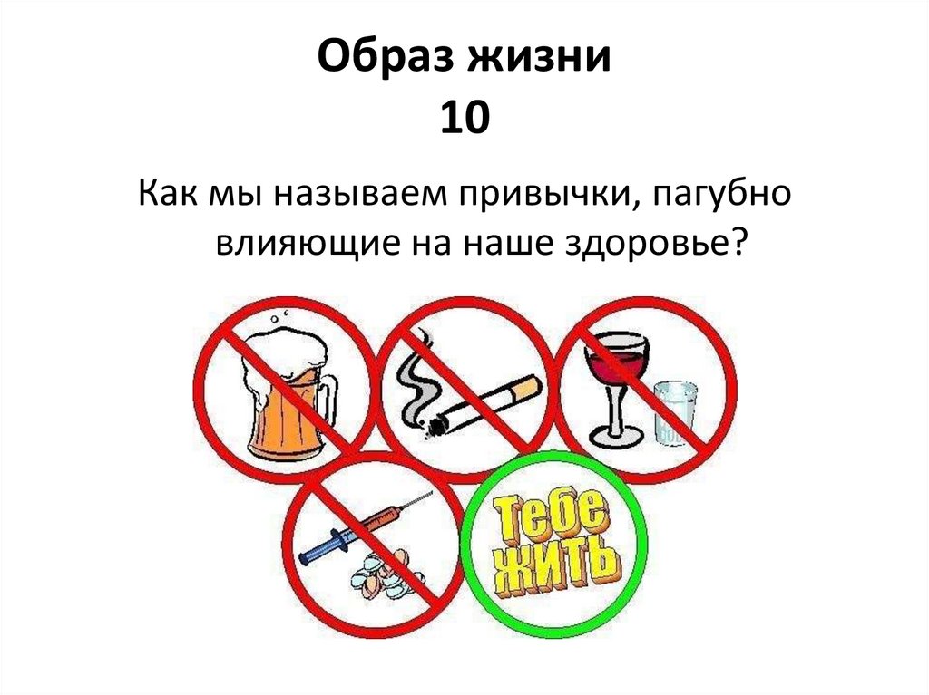 Образ жизни 10
