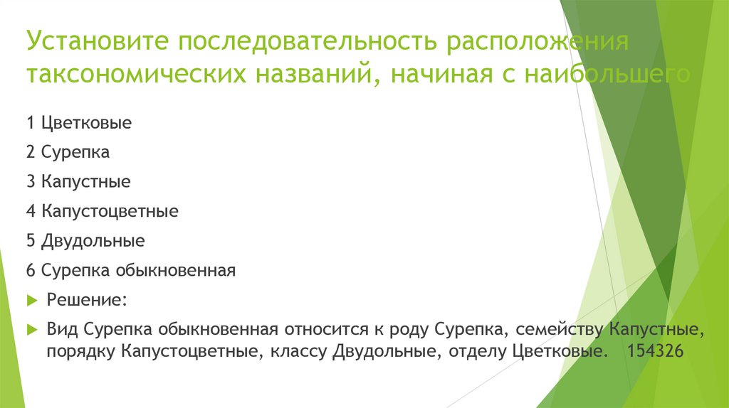 Установите последовательность расположения таксономических названий, начиная с наибольшего