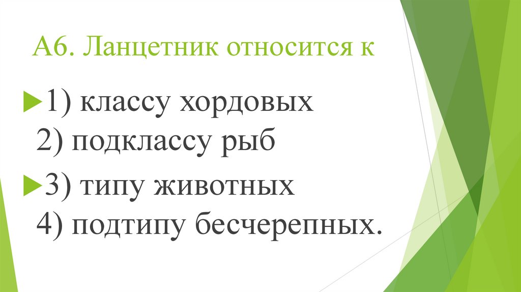 А6. Ланцетник относится к