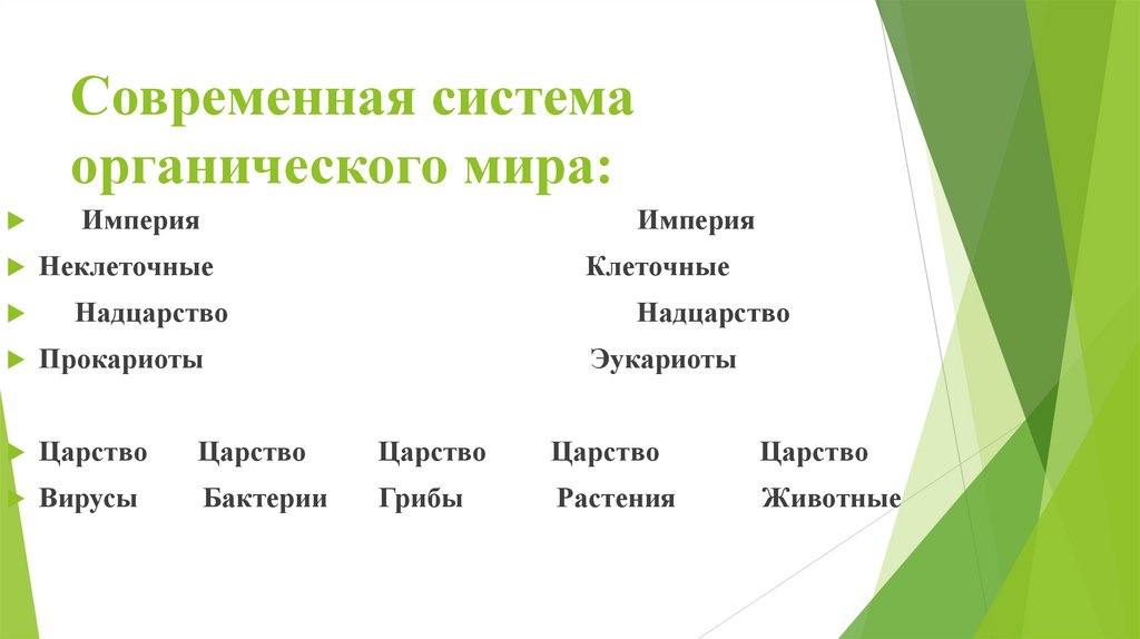 Современная система органического мира: