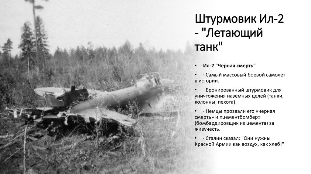 Штурмовик Ил-2 - "Летающий танк"