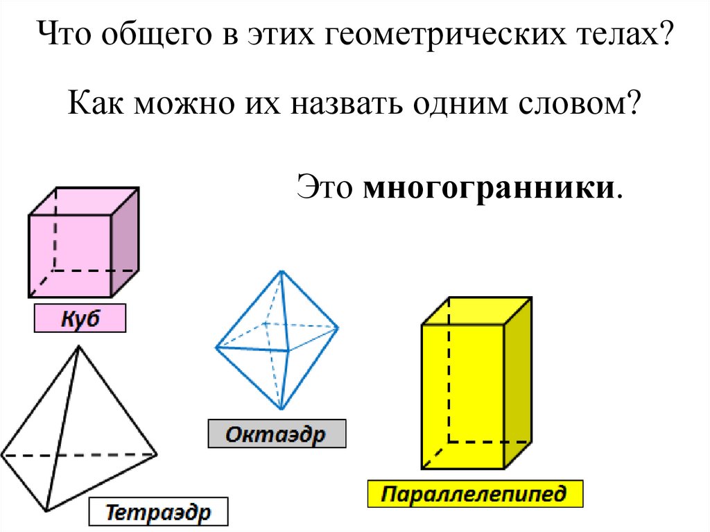 Что общего в этих геометрических телах?