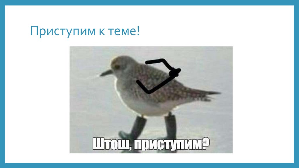 Приступим к теме!