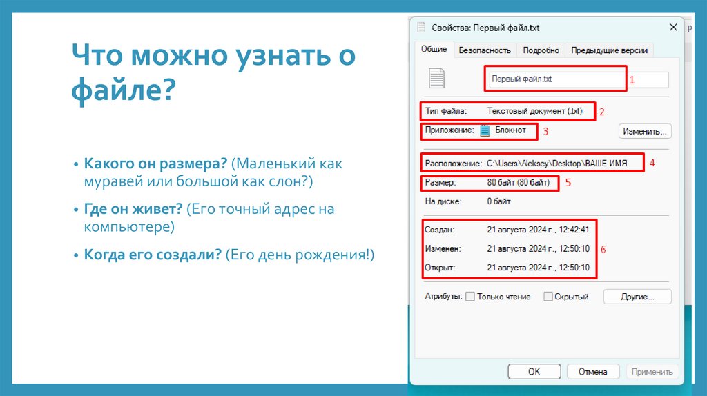 Что можно узнать о файле?