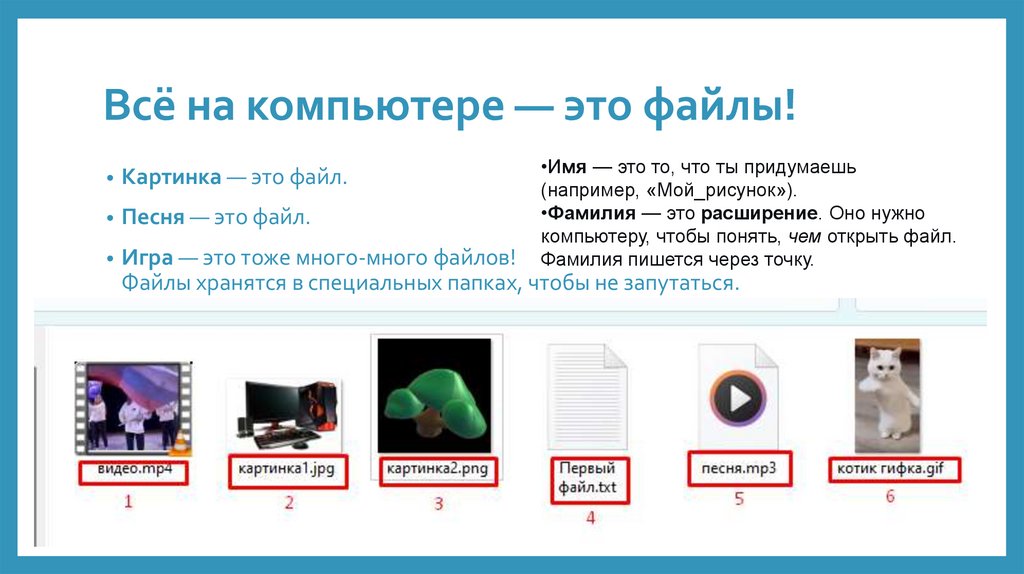 Всё на компьютере — это файлы!