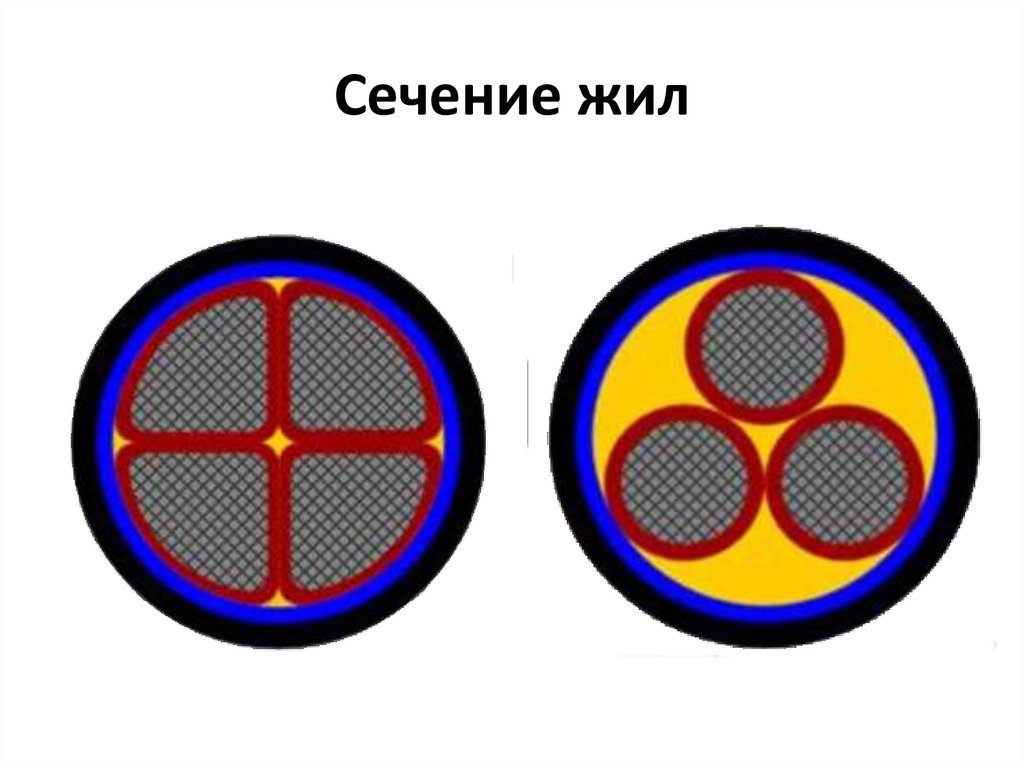 Сечение жил