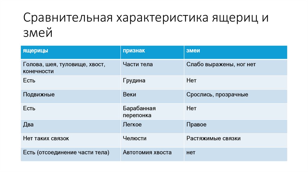 Сравнительная характеристика ящериц и змей
