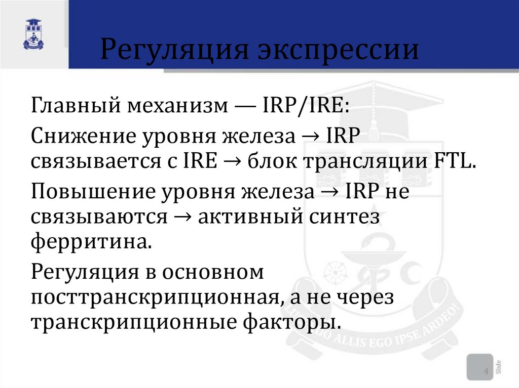 Регуляция экспрессии