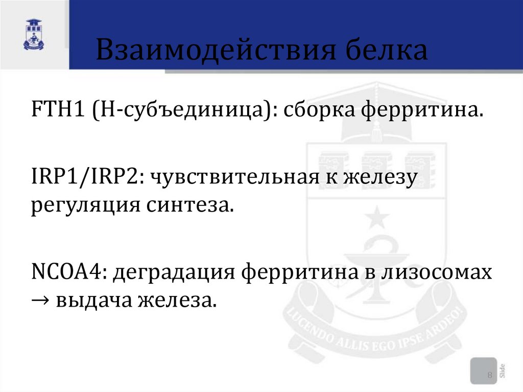 Взаимодействия белка