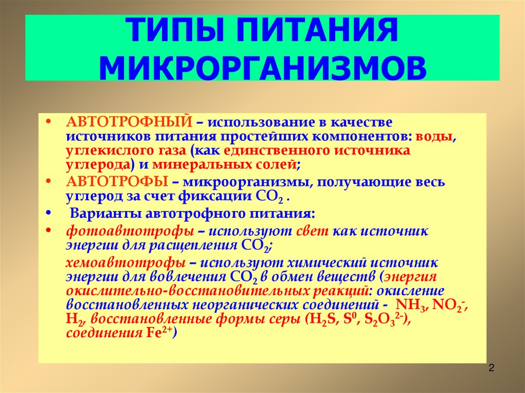 ТИПЫ ПИТАНИЯ МИКРОРГАНИЗМОВ