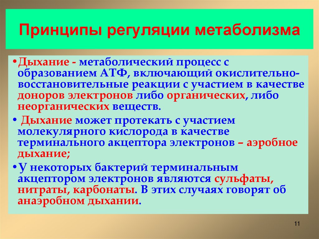 Принципы регуляции метаболизма