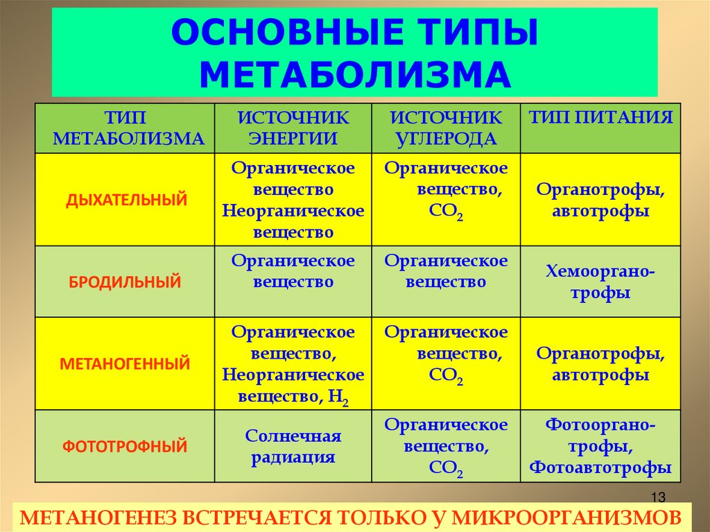 ОСНОВНЫЕ ТИПЫ МЕТАБОЛИЗМА