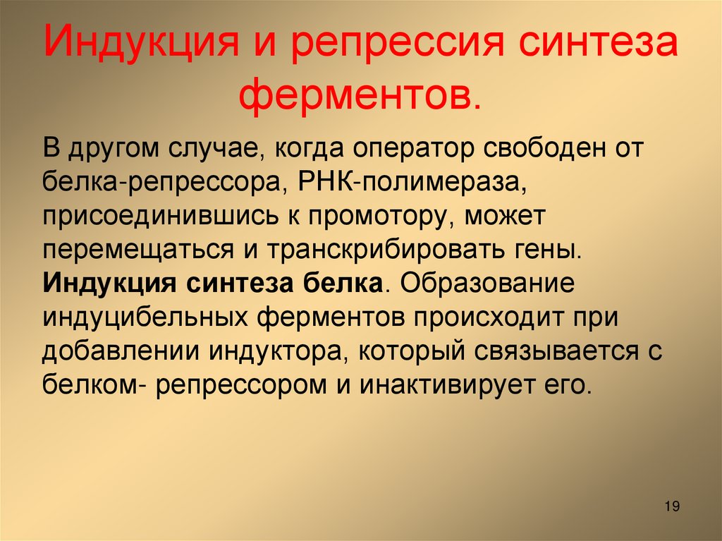 Индукция и репрессия синтеза ферментов.