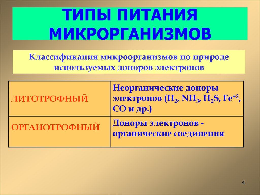 ТИПЫ ПИТАНИЯ МИКРОРГАНИЗМОВ