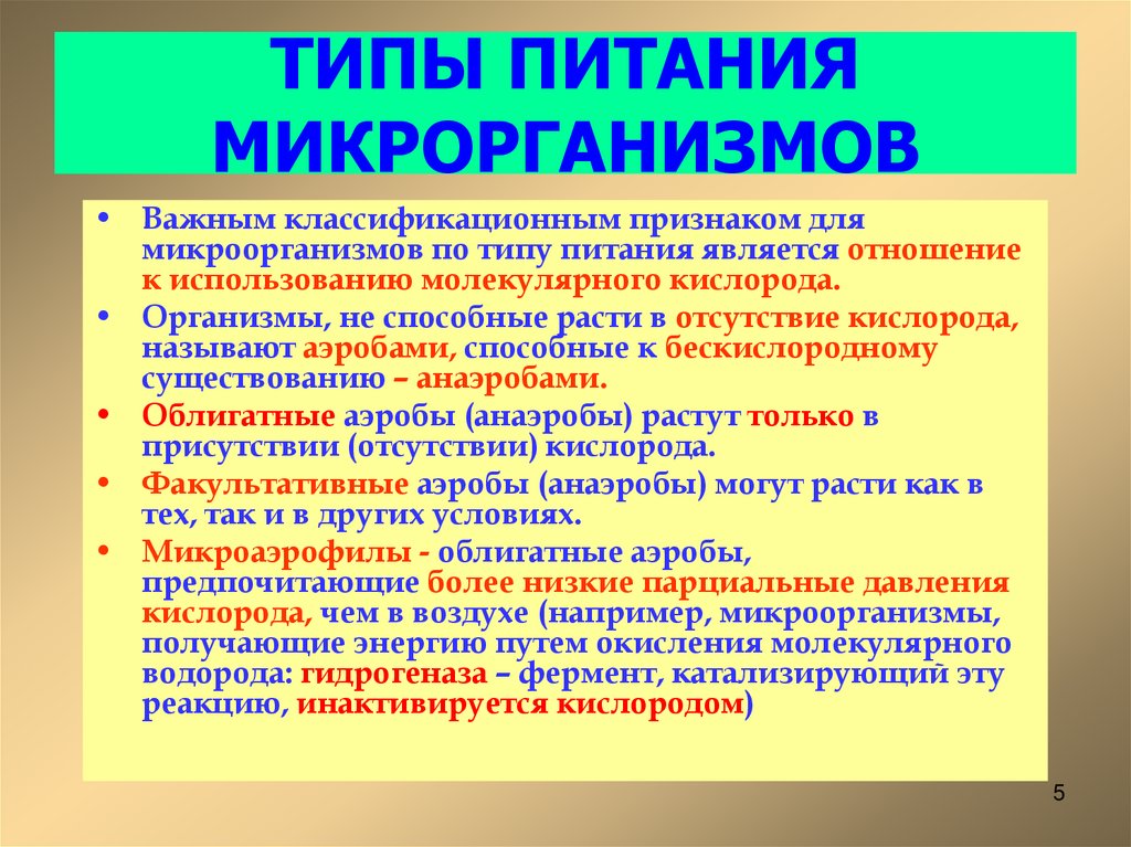 ТИПЫ ПИТАНИЯ МИКРОРГАНИЗМОВ
