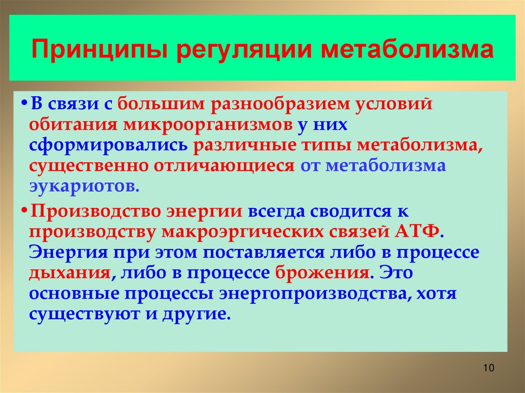 Принципы регуляции метаболизма